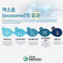 가디언 동물의료센터 이미지