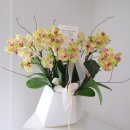 승진빌딩 | 압구정꽃집 까사데이피오리에서 승진 축하 꽃다발 주문한 후기