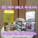 에프에이치 | 일본 선물 추천 논카페인 루이보스티 카페인 없는 루이보스차 H&amp;F BELX