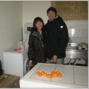 표선리-1 이미지