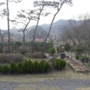 금산농원 이미지