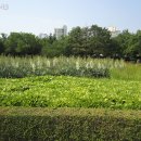 뚝섬한강공원-29 이미지