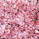 018-교하-018 이미지