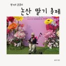 그늘막42 | 논산 딸기축제 후기 먹거리 가격 주차 꿀팁 총정리