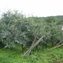 공성면 영오리 이미지