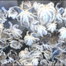 시장(바다수산) 이미지