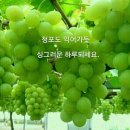 인사말 이미지 ㅡ 화요일 / 항상 고마워요 이미지