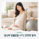대화중기 - 동작구 여의대방로 140 | 임산부 짐볼 운동 시기, 임신 중기 후기 안전한 동작 총정리