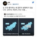 조각공인중개사사무소 이미지