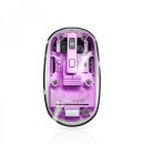 아이앤티 이미지