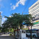 신창국민은행 앞 이미지