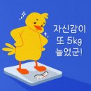 THE오름학원
