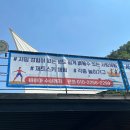 바하마수상레저 이미지