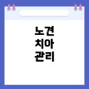 한수축산 | 13살 노견, 치아 흔들림이 걱정된다면? 수의학적 조치와 보호자의 선택