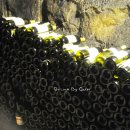 와인터널 이미지