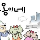 겉만번지르르