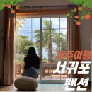 제주도 서귀포 감성 숙소 귤중옥 펜션, 가족 연인 여행으로 딱 좋았던 내돈내산 후기(+귤밭 체험 가능)