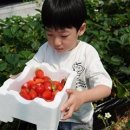 인구농장 이미지