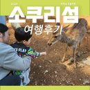 소쿠리섬1 | [여행후기] 창원 진해 소쿠리섬 — 한적함 속 사슴과 함께한 힐링 피크닉
