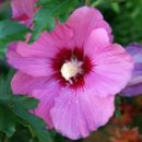 여름이야 이미지