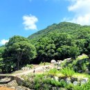 여주-0915 Daum카페