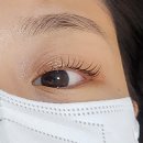 정다운뷰티 | 창원 명서동 속눈썹, 브로우 리프트 펌 잘하는 정다움 뷰티