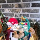 인제천연잔디구장 | 경기 동두천📍오도독 /서울근교반려견카페 / 애견카페추천 /반려견천연잔디운동장/1800규모애견카페후기