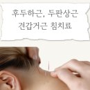 역삼한의원 | 역삼역자동차사고 목,어깨,허리통증: 섬세한 추나 치료 잘한다고 소문난 앤한의원