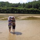 풍기인삼삼계탕 이미지