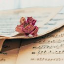 시절 인연 이미지