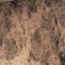 리엘치과의원 이미지