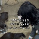 이웃집수달 카페 주말 이용 비추 솔직후기, 대구근교 아이랑 실내 경산가볼만한곳
