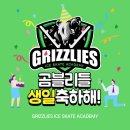 그리즐리스스포츠 이미지