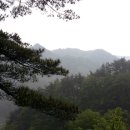 영동여관 이미지