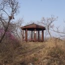 진원면사무소 이미지