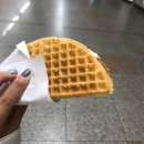 부평애완용품점