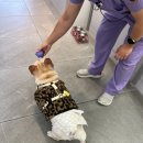 온누리 동물의료센터 이미지