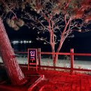 세븐일레븐거제구조라항점 이미지