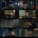 짐나빌레라 이미지