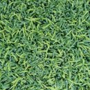 진보생활체육공원 이미지