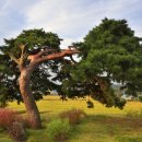 옥산3리 마을 앞 이미지