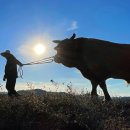 우리한우목장 이미지