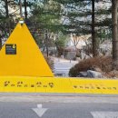옐로우콘크리트