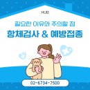 허브동물병원 | 강아지와 고양이 항체검사와 예방접종 꼭 필요한 이유와 주의할 점