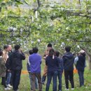 사슴자연 방목장 이미지