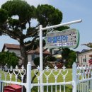 아젤리아 펜션 | 대부도독채펜션 가족 친구 모임 이용 아젤리아펜션