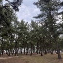 송정해변길 이미지