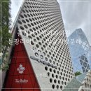 강남뷰티업성형외과의원 | 강남 플레저성형외과의원 얼굴지방분해주사 + 튠라이너 튠팡라이너 후기