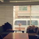 압구정-275 이미지