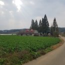 리더스 종합상사 이미지